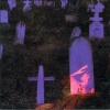 Corpse You Luv - Corpse You Luv (1999)