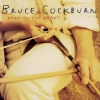 Bruce Cockburn - Dart To The Heart (1994)