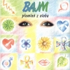 Bajm - Płomień Z Nieba (1993)
