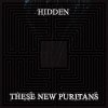 These New Puritans - Hidden (2010)