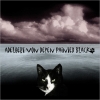 Adelbert Von Deyen - Painted Black (2006)
