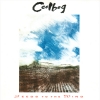 Ceolbeg - Seeds To The Wind (1991)