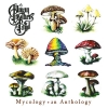 The Allman Brothers Band - Mycology: an Anthology (1998)