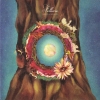 kenmochi hidefumi - Fallicia (2008)