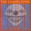 The Chameleons - Why Call It Anything (2001)