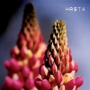 Hṛṣṭa - Ghosts Will Come And Kiss Our Eyes (2007)