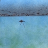 The Lost Domain - Sailor Home From The Sea (2004)