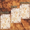 Bozzio Levin Stevens - Situation Dangerous (2000)