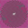 Deerhunter - Cryptograms (2007)