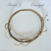 David J - Estranged (2003)
