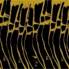 Charalambides - Joy Shapes (2004)