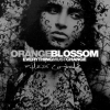 Orange Blossom - Everything must change (2004)
