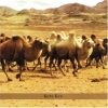 Ahava Raba - Kete Kuf (1999)