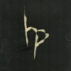 Hirsute Pursuit - That Hole Belongs To Me (2007)