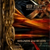 Esr - Wounds And Scars (2006)