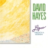 David Hayes - Logos Through A Sideman (1989)