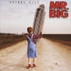 Mr. Big - Actual Size (2001)