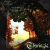 Menhir - Thuringia (1999)
