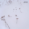 Jgrzinich - Insular Regions (2005)