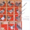Davide Balula - Pellicule (2003)