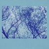 Steven R. Smith - Owl (2007)