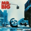 Mr. Big - Bump Ahead (1993)