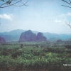 Dave Phillips - Field Recordings (2007)