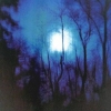 Flying Saucer Attack - Further (1995)
