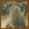 Cassandra Wilson - Belly Of The Sun (2002)