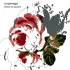 Morphologue - Flower Art Pictures (2007)