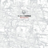 Such A Surge - Rotlicht (2003)