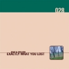 Howard Stelzer - Exactly What You Lost (2007)